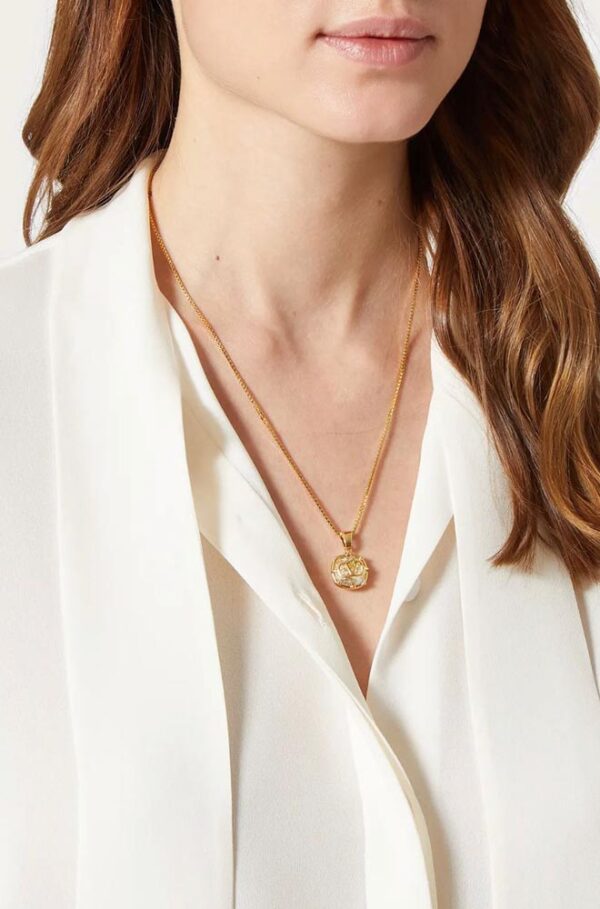 Elegant Valentino Jewelry Set (Neckless+Earrings) - Image 2