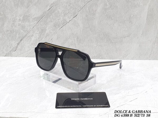 Lavish Dolce & Gabbana Glasses