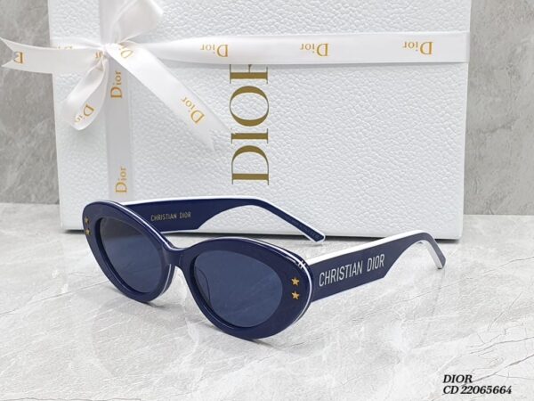 Ellite Christian Dior Glasses