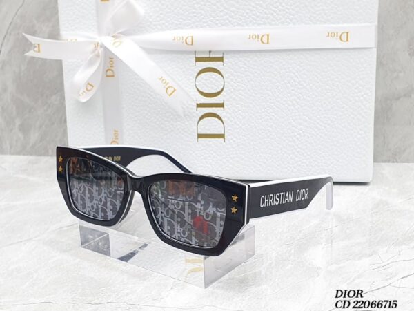 Elegant Christian Dior Glasses